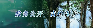 劍閣縣古樹名木專題